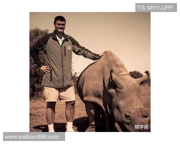 犀牛币姚明引领数字货币新潮流助力体育产业发展与创新